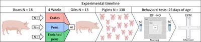 Inheriting the sins of their fathers: boar life experiences can shape the emotional responses of their offspring